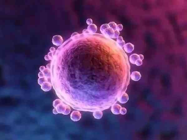 育儿案例小成长故事