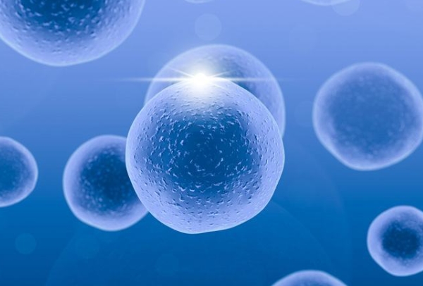 育儿知识大全100篇免费大班