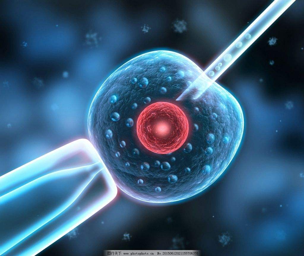育儿技巧每日分享