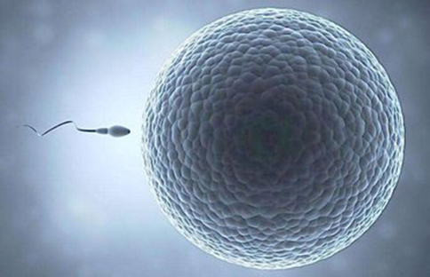 育儿百科在线阅读 定本