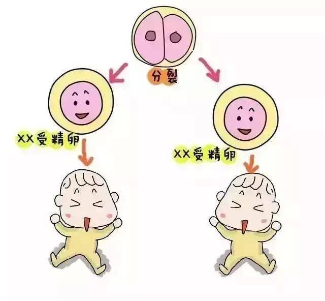 育儿知识大全 幼儿园