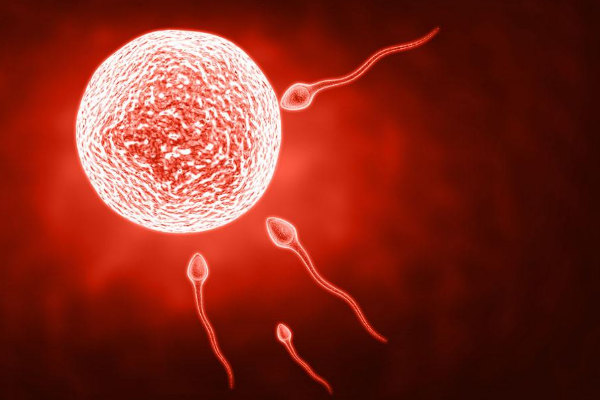 育儿知识3至6岁秋季