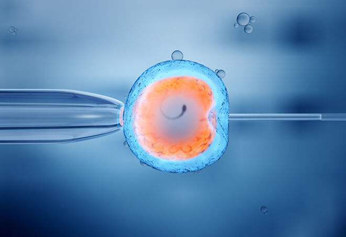 育儿知识大全100篇免费