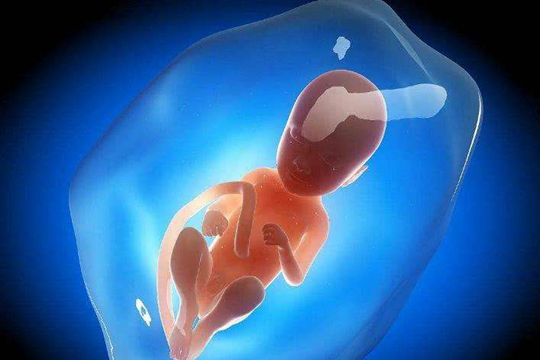 育儿教育视频山东大叔