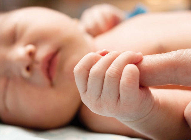 育儿百科美国儿科学会 kindle