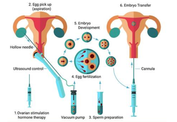 育儿百科日本松田道雄
