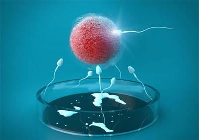 育儿百科松田道雄电子书