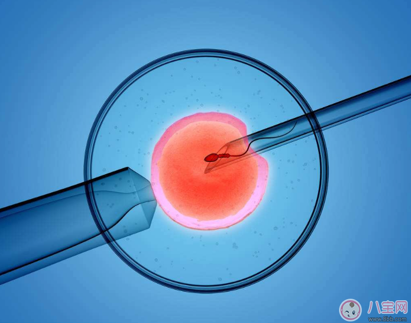 育儿手绘视频素材库