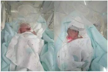 育儿知识0到1岁饮食