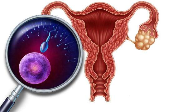 育儿知识大全100篇免费