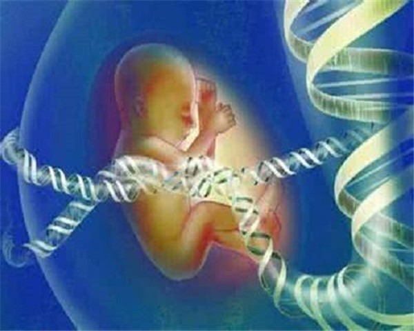 育儿最火的文案 书单