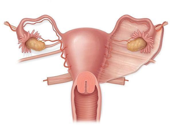 育儿知识中班下学期春季