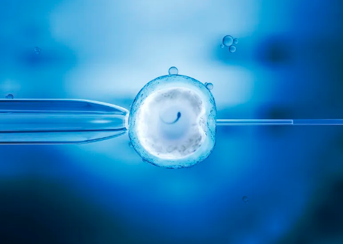 胎儿三个月的样子