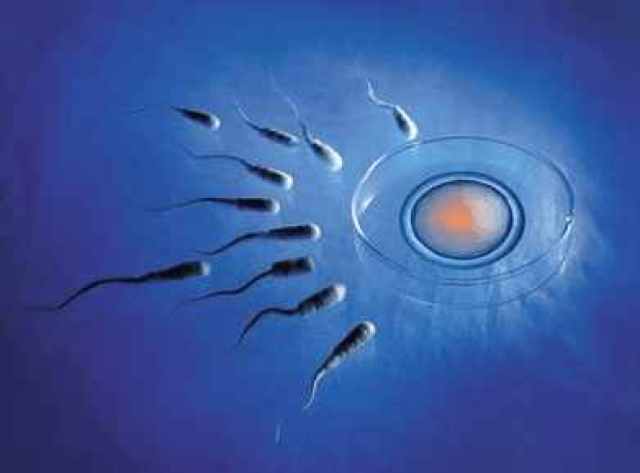 怀孕四个月打胎