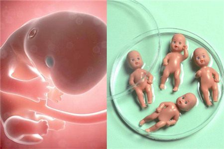 青岛试管婴儿取卵